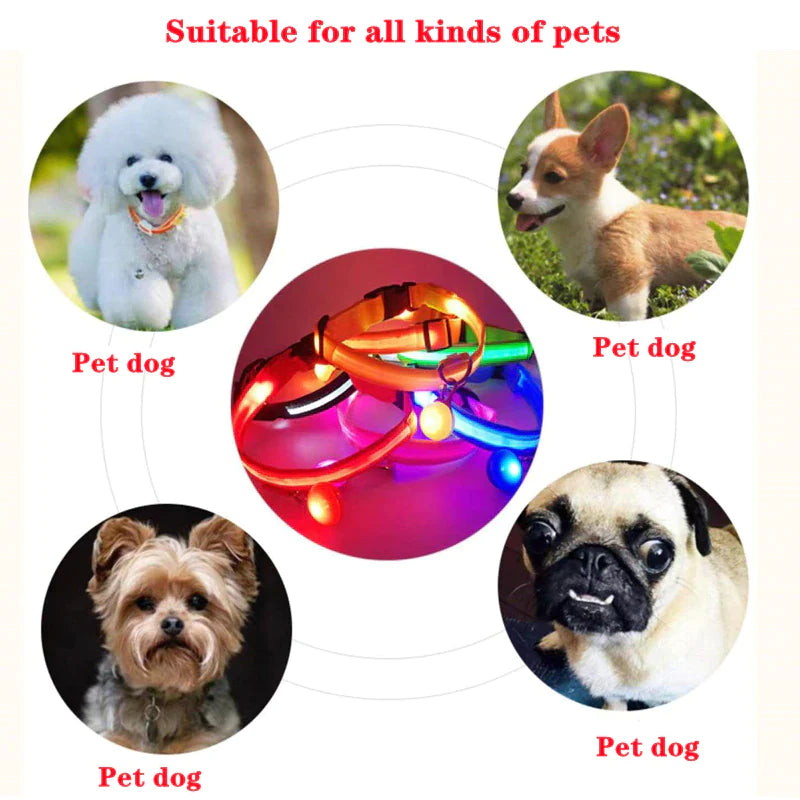 LED Dog Collar with Flashing Lights - Waterproof and Adjustable Bright LED Dog Collar for Night Safety - Waterproof and Durable